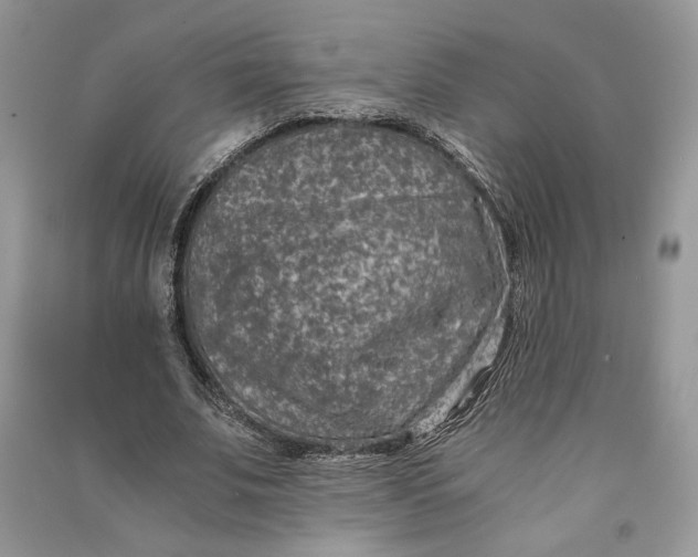X0000090700679200708101442
