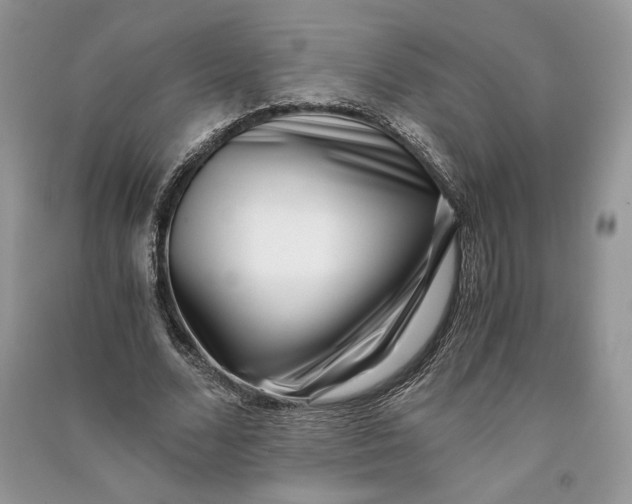X0000090700680200708101442