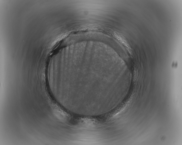 X0000090700681200708101442