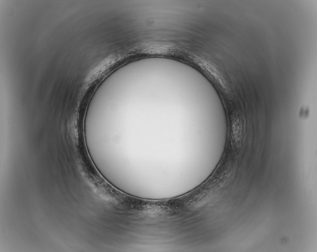 X0000090700682200708101442