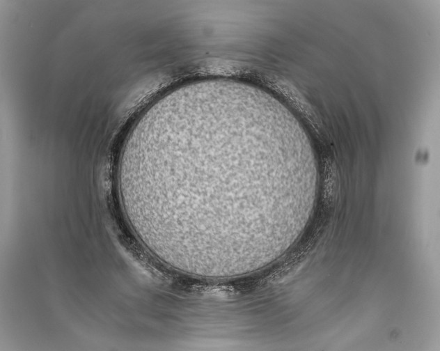 X0000090700683200708101442