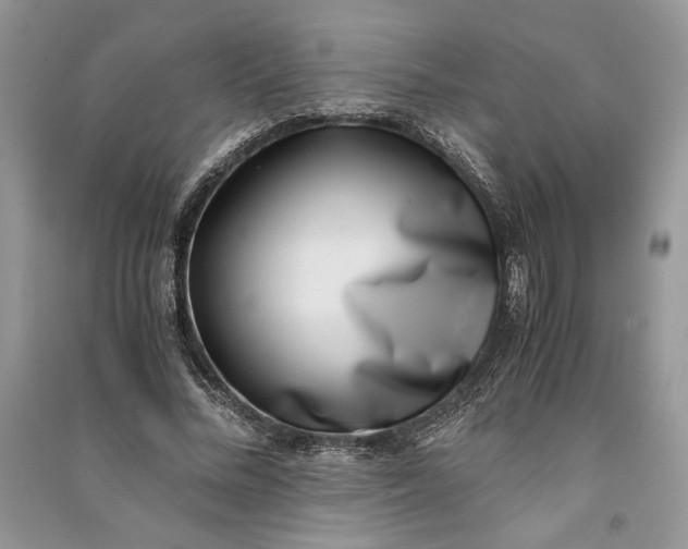 X0000090700684200708101442