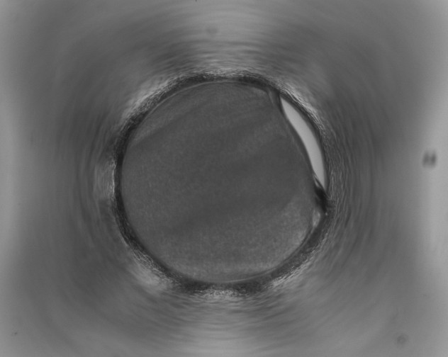 X0000090700685200708101442
