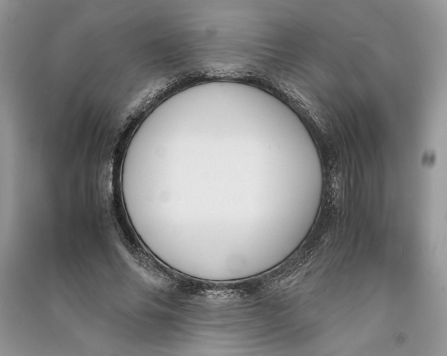 X0000090700686200708101442
