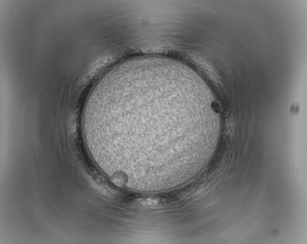X0000090700687200708101442