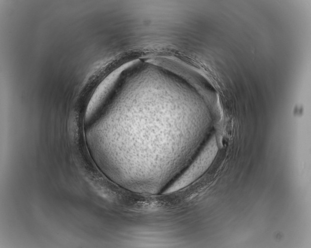 X0000090700688200708101442
