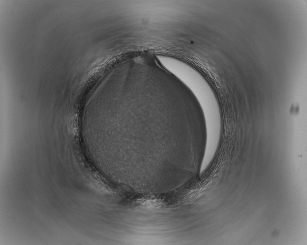 X0000090700689200708101442