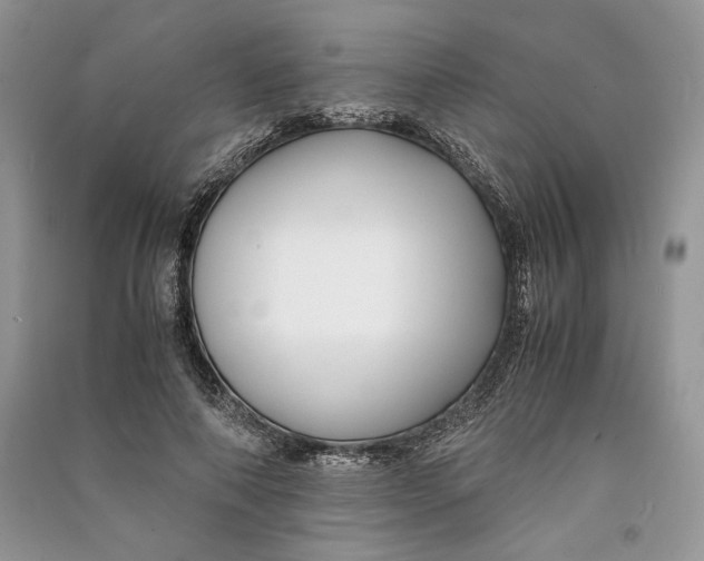 X0000090700690200708101442