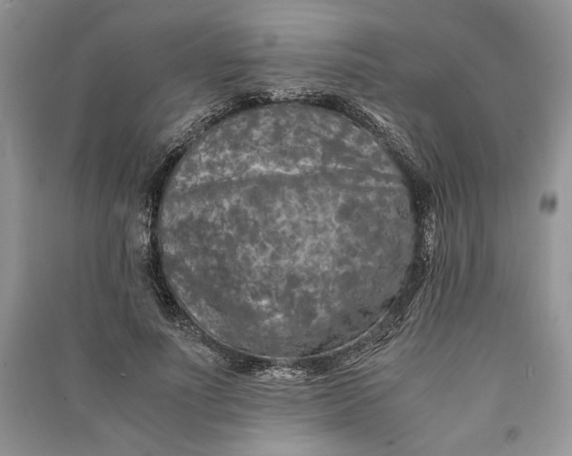 X0000090700691200708101442
