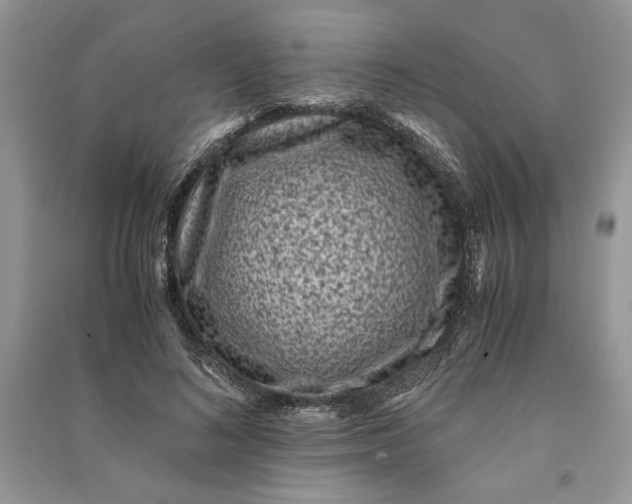 X0000090700692200708101442