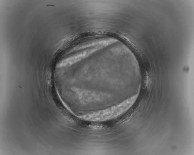 X0000090700693200708101442