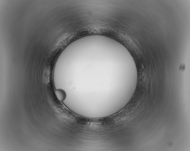 X0000090700694200708101442