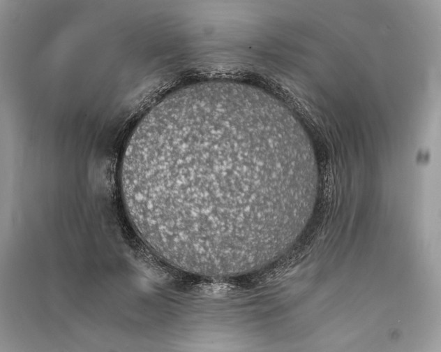 X0000090700695200708101442