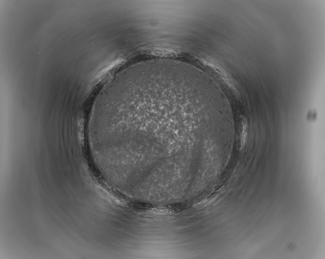 X0000090700696200708101442