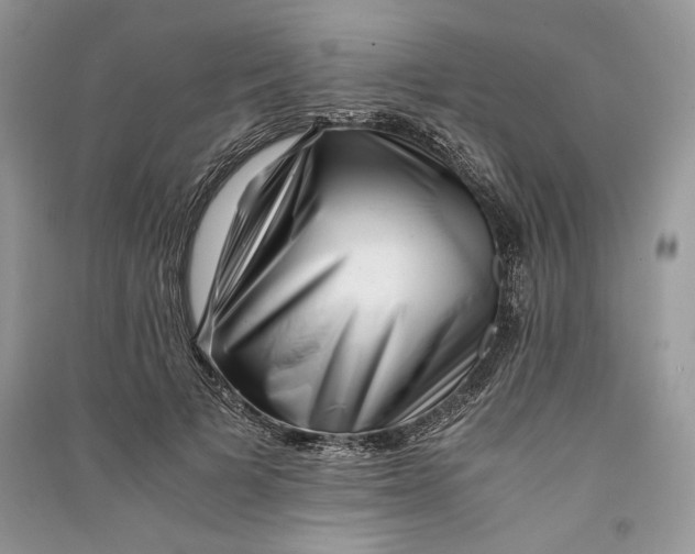 X0000090700697200708101442
