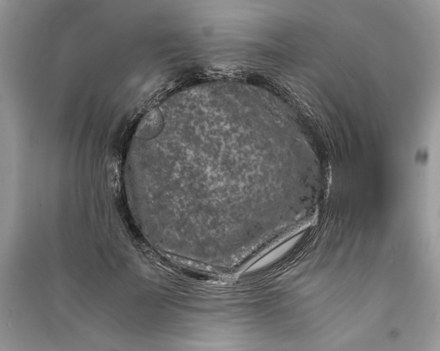 X0000090700699200708101442