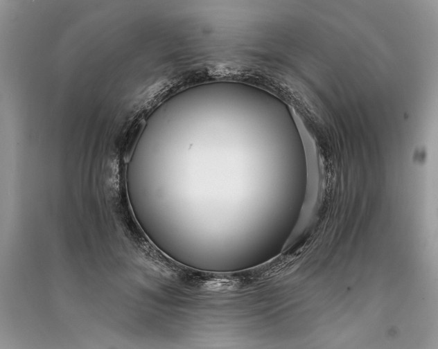 X0000090700700200708101442