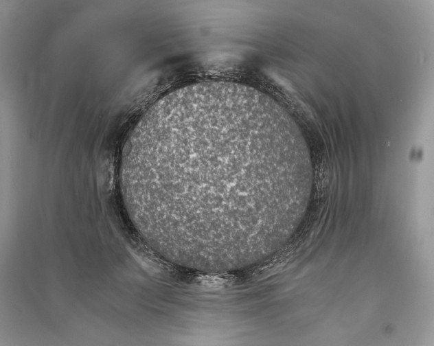 X0000090700703200708101442