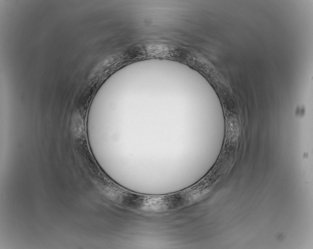 X0000090700705200708101442