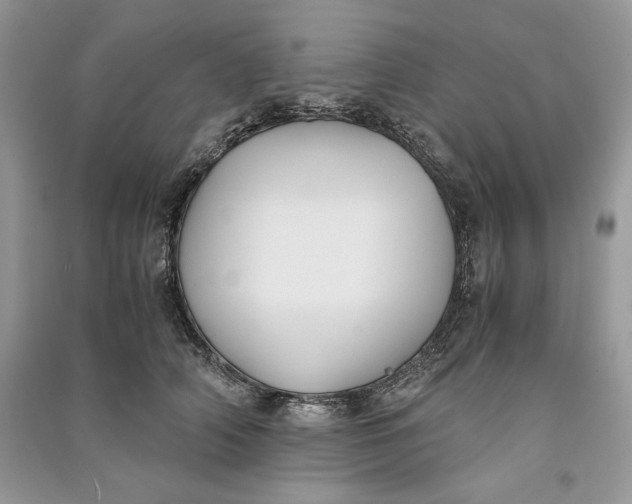 X0000090700706200708101442