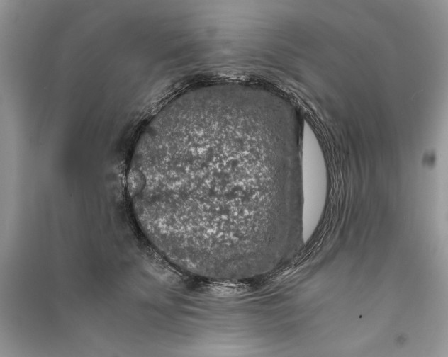 X0000090700707200708101442