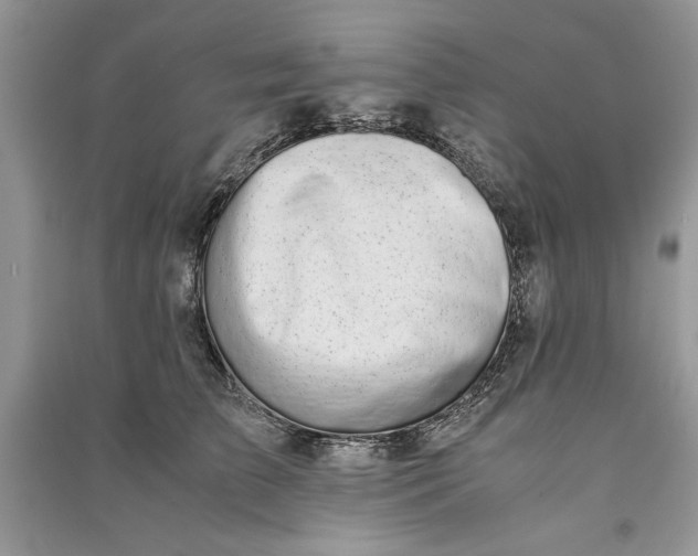 X0000090700709200708101442