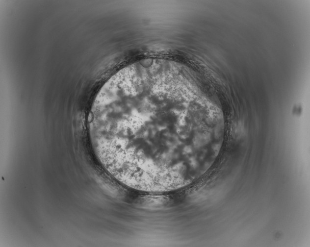 X0000090700711200708101442