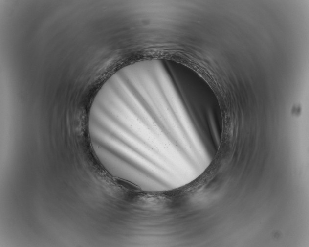 X0000090700712200708101442