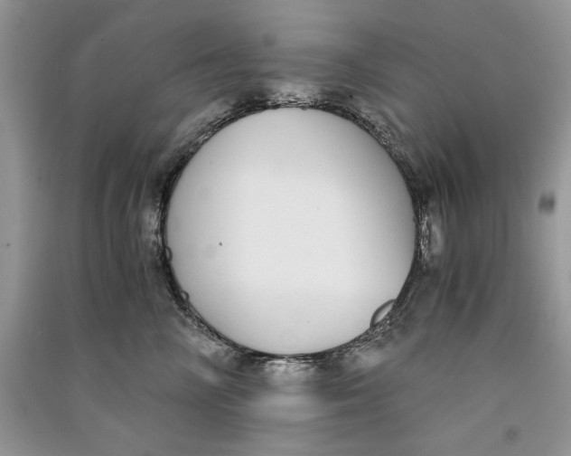 X0000090700714200708101442
