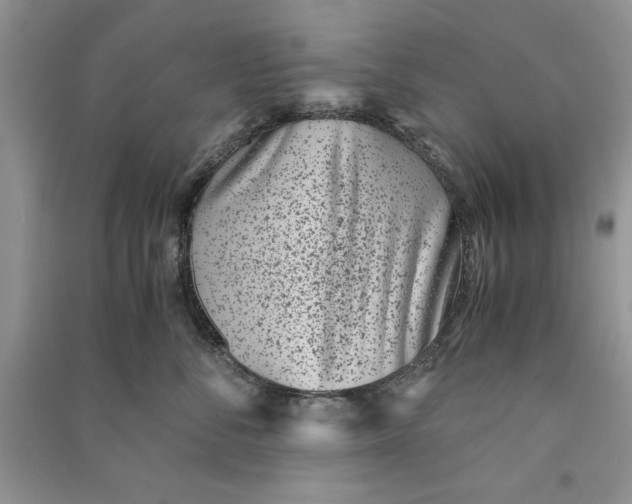 X0000090700716200708101442