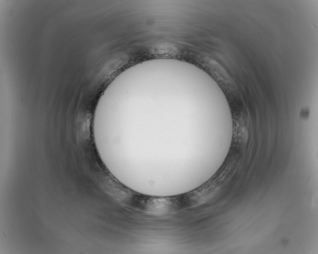 X0000090700717200708101442