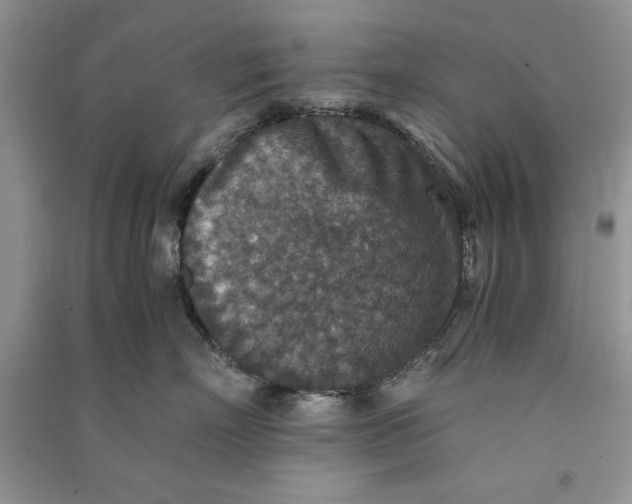 X0000090700718200708101442
