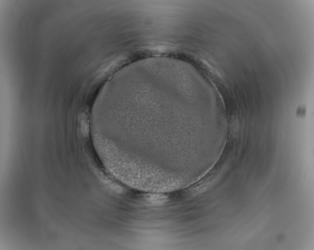 X0000090700719200708101442
