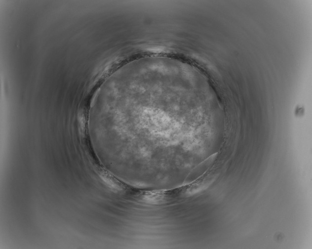 X0000090700720200708101442