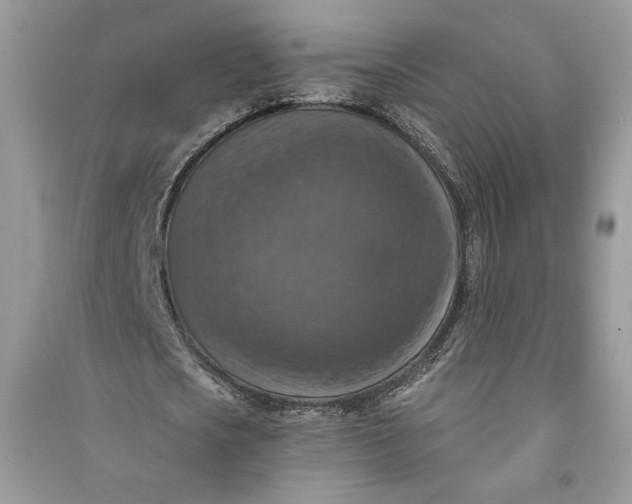 X0000090700721200708101441