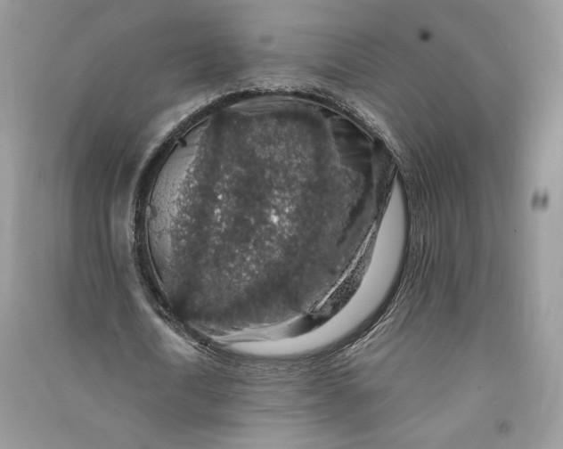 X0000090700722200708101441