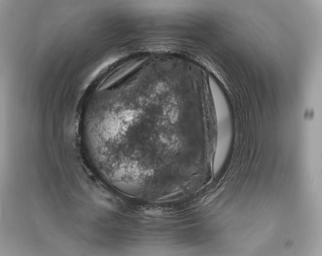 X0000090700723200708101441