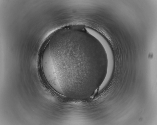 X0000090700724200708101441