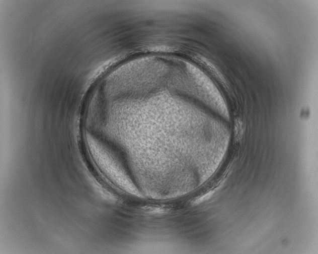 X0000090700725200708101441