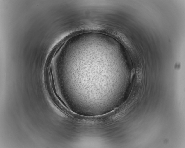 X0000090700726200708101441