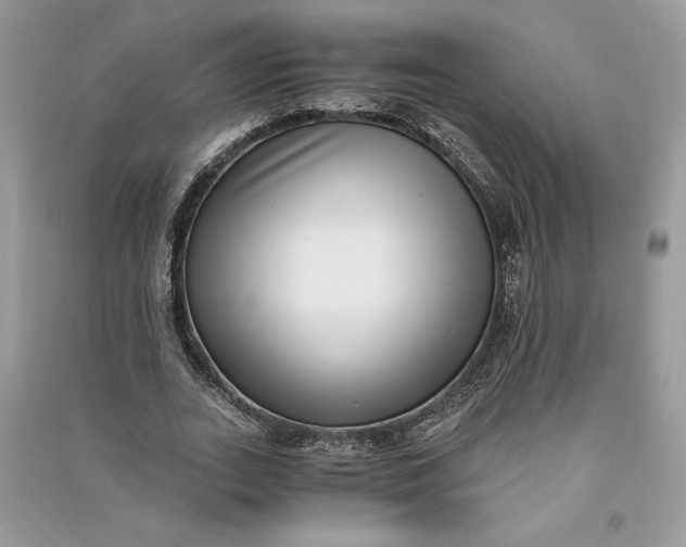 X0000090700727200708101441