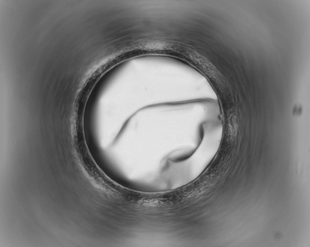 X0000090700728200708101441