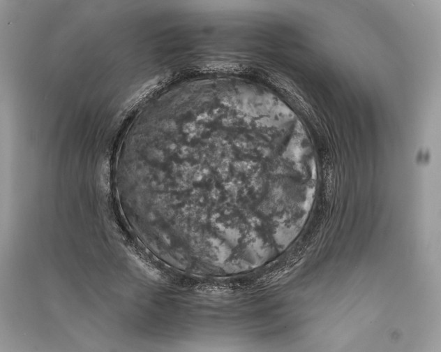 X0000090700729200708101441