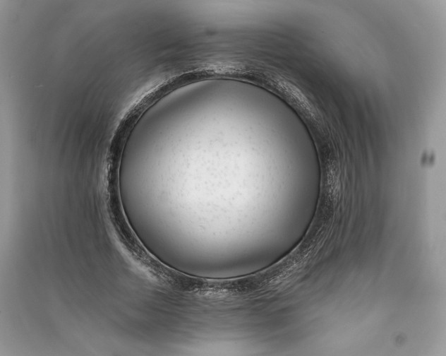 X0000090700730200708101441