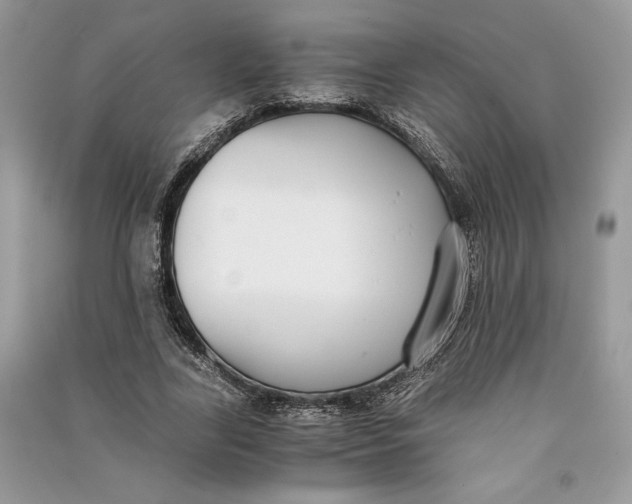 X0000090700731200708101441