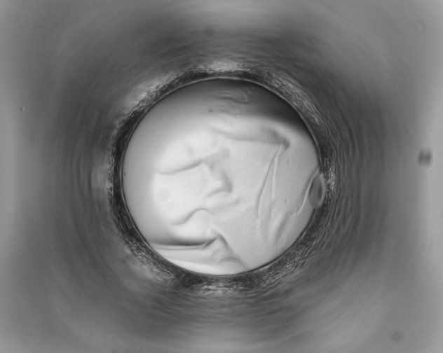 X0000090700732200708101441