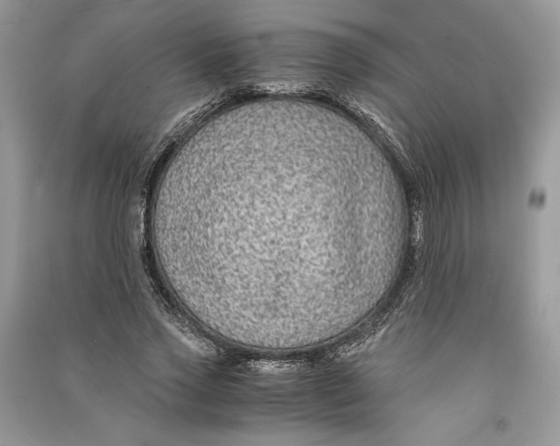 X0000090700733200708101441