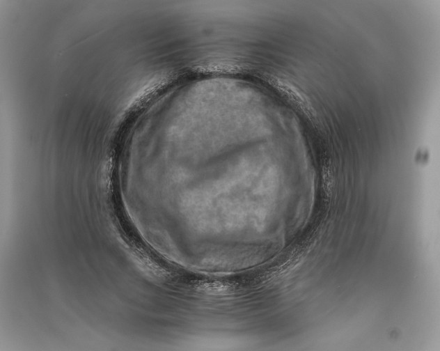 X0000090700735200708101441