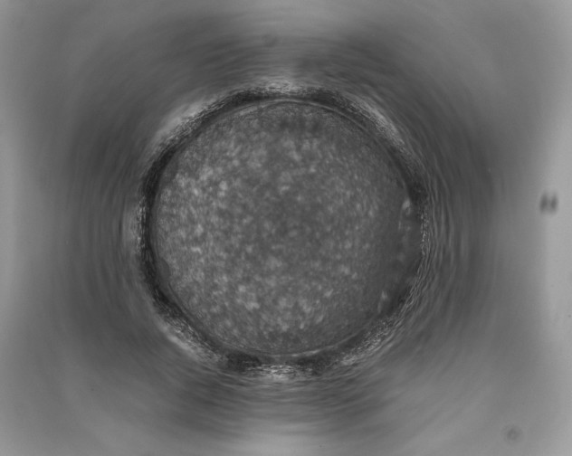 X0000090700736200708101441