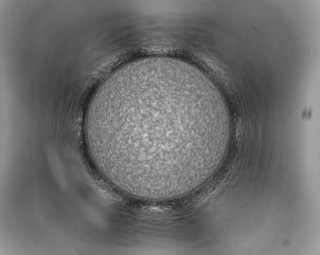 X0000090700737200708101441
